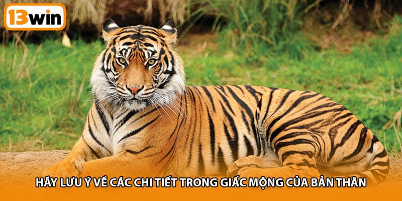 Hãy lưu ý về các chi tiết trong giấc mộng của bản thân